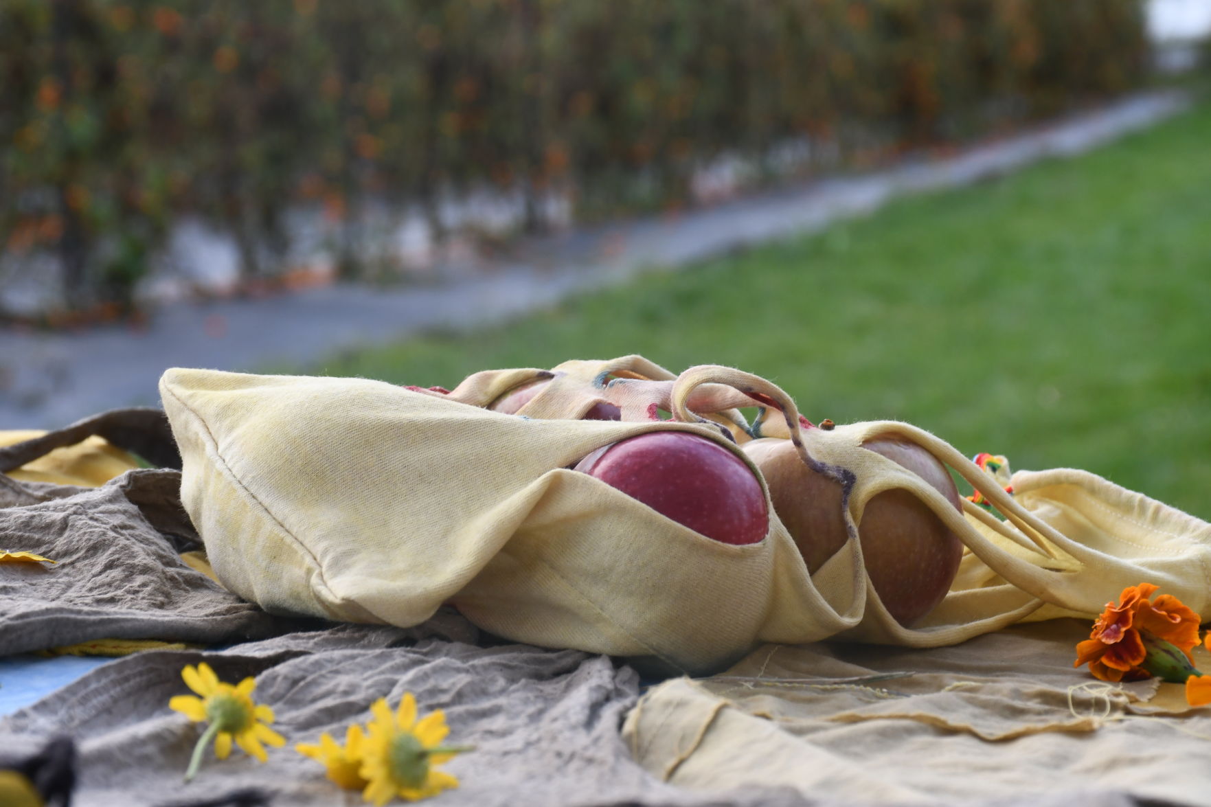 reusable bag holds apples